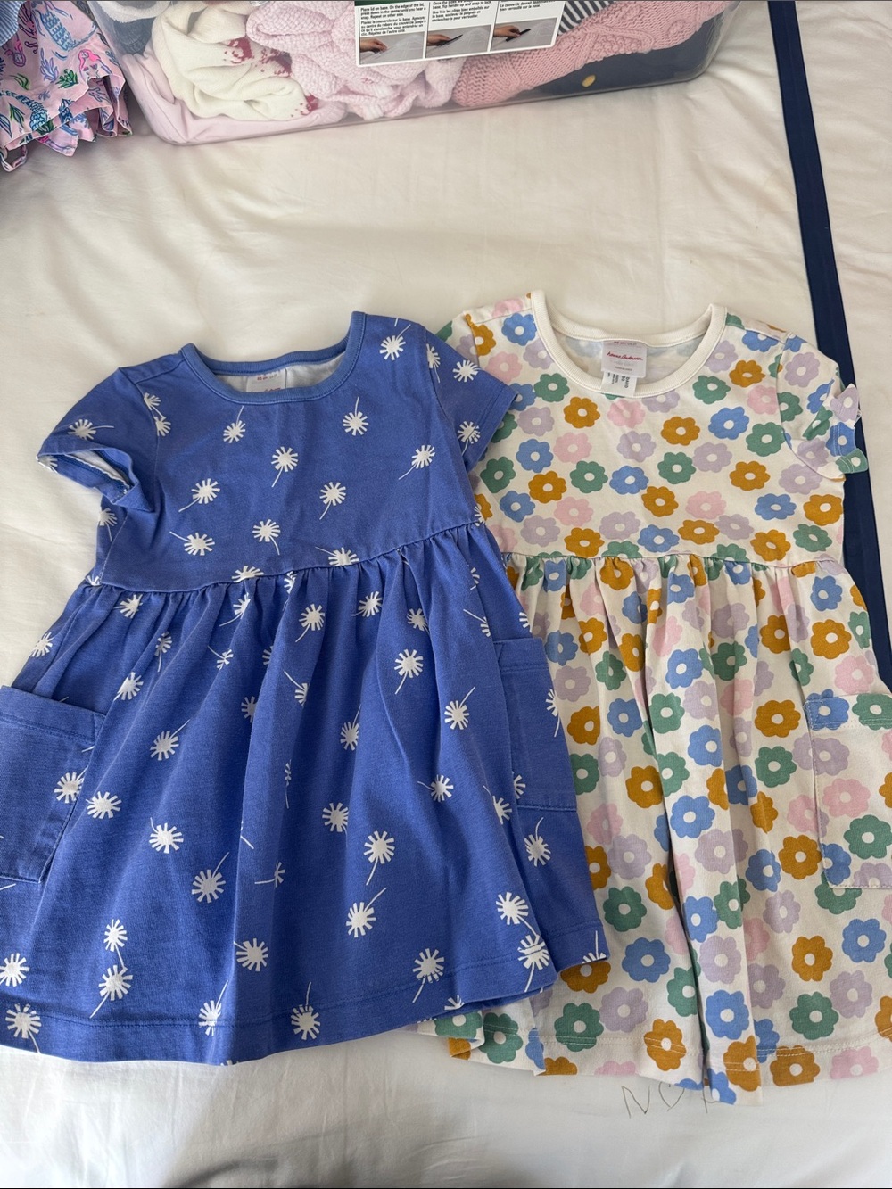 Hanna Andersson Blue Daisy Dress and Multicolor Floral Dress Set